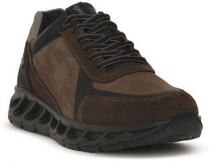 Módne tenisky IgI&CO  SANTOS GTX