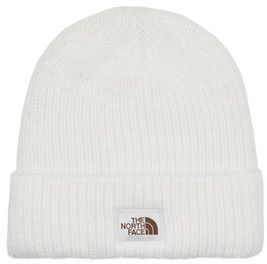 Čiapky The North Face  SALTY BAE LINED BEANIE