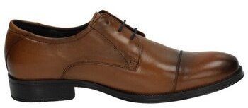 Richelieu Baerchi  -
