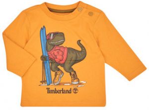 Tričká s dlhým rukávom Timberland  TEE-SHIRT MANCHES LONGUES T60253
