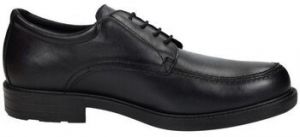 Richelieu Baerchi  -