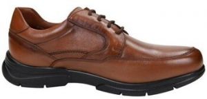 Richelieu Baerchi  -
