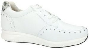 Richelieu Vida  -