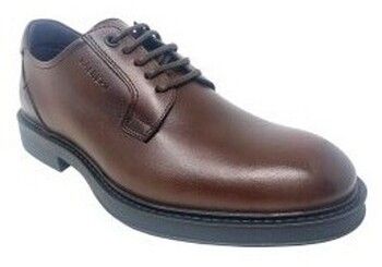 Univerzálna športová obuv Baerchi  Zapato caballero  1160 marron