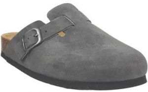 Nazuvky Scholl  Fae new