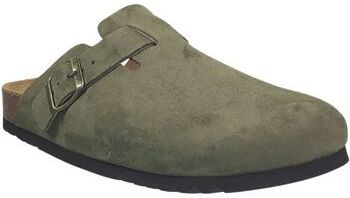 Nazuvky Scholl  Olivier new