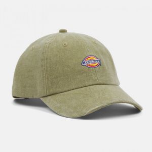 Šiltovky Dickies  Hardwick duck canvas cap