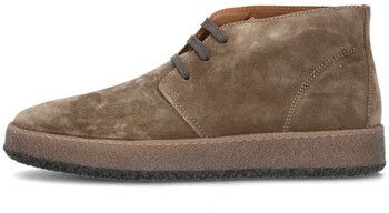Derbie IgI&CO  6623355