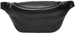Ľadvinky Calvin Klein Jeans  AOP WAISTBAG K50K512559