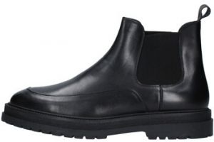 Derbie Fedeni  DOC12