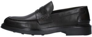Derbie Fedeni  334