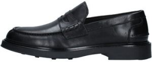 Derbie Fedeni  334