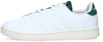 Nízke tenisky adidas  IF6096