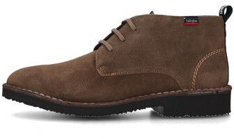 Derbie CallagHan  60401
