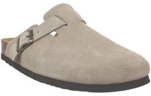 Nazuvky Scholl  Olivier new