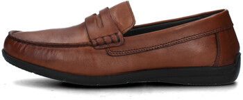Mokasíny IgI&CO  5613422