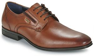 Derbie S.Oliver  13210-41-305