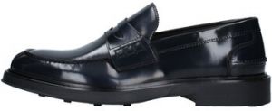 Derbie Fedeni  334