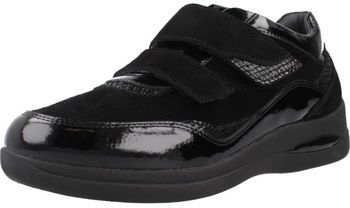 Derbie Stonefly  AURORA 26 VELOUR/S PATENT