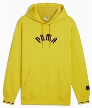 Mikiny Puma  CLASSICS PLAY PARIS HOODIE JUNIOR