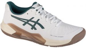 Fitness Asics  Gel-Challenger 14 Clay
