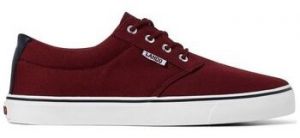 Derbie Lando  LDO-656BURG-CNV