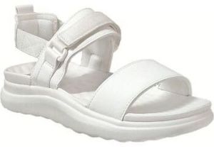 Sandále HEYDUDE  Collins sandal mono