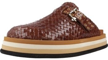 Nazuvky Pons Quintana  CAIMAN
