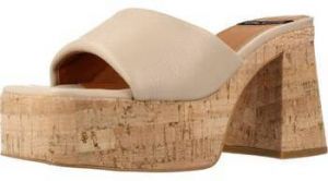 Nazuvky Angel Alarcon  22088 400G