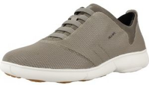 Módne tenisky Geox  D NEBULA 2.0