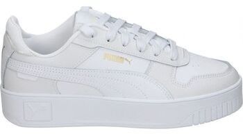 Univerzálna športová obuv Puma  393846-01