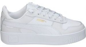 Univerzálna športová obuv Puma  393846-01