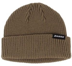 Čiapky Dickies  DK0A4X7Y