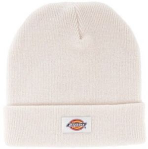 Čiapky Dickies  DK0A4X7K