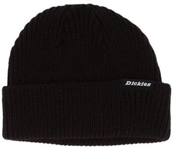 Čiapky Dickies  DK0A4X7Y