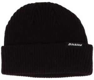 Čiapky Dickies  DK0A4X7Y