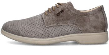 Derbie IgI&CO  7604311