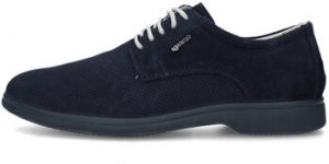 Derbie IgI&CO  7604300