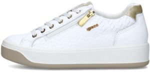 Nízke tenisky IgI&CO  7656500