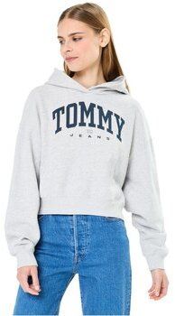 Mikiny Tommy Jeans  DW0DW19291
