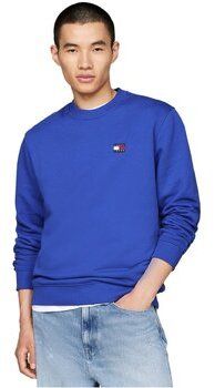 Mikiny Tommy Jeans  DM0DM17986