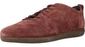 Derbie Geox  D NEW DO A
