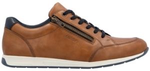Derbie Rieker  11903
