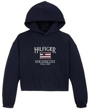 Mikiny Tommy Hilfiger  -