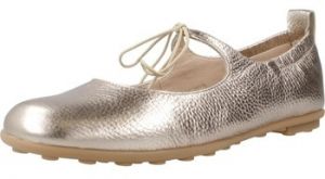 Derbie Hispanitas  HV254076