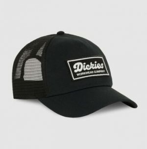Šiltovky Dickies  Lewistown trucker