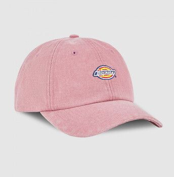 Šiltovky Dickies  Hardwick duck canvas cap