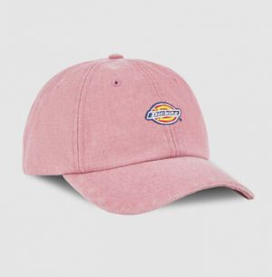 Šiltovky Dickies  Hardwick duck canvas cap