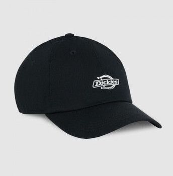 Šiltovky Dickies  Essential dad cap