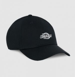 Šiltovky Dickies  Essential dad cap